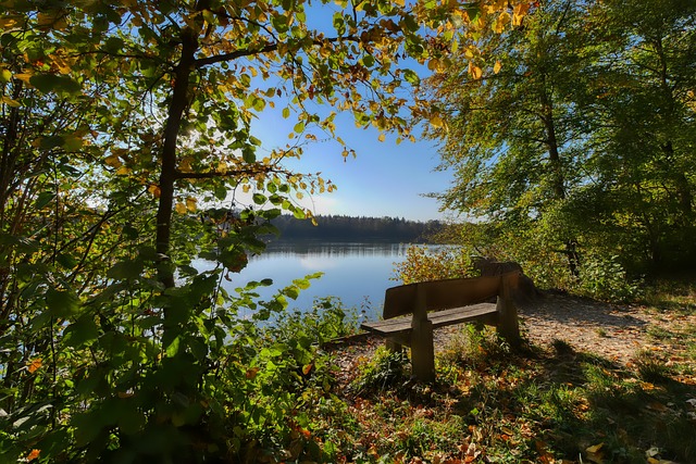 并很好地限 并很好地限