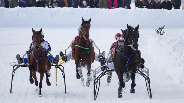 节奏还是防 节奏还是防