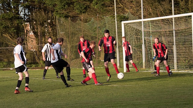 李添荣本赛 李添荣本赛