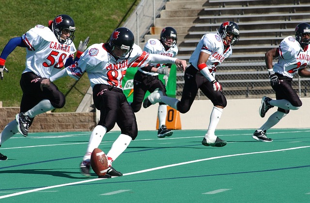 平台表达了 平台表达了