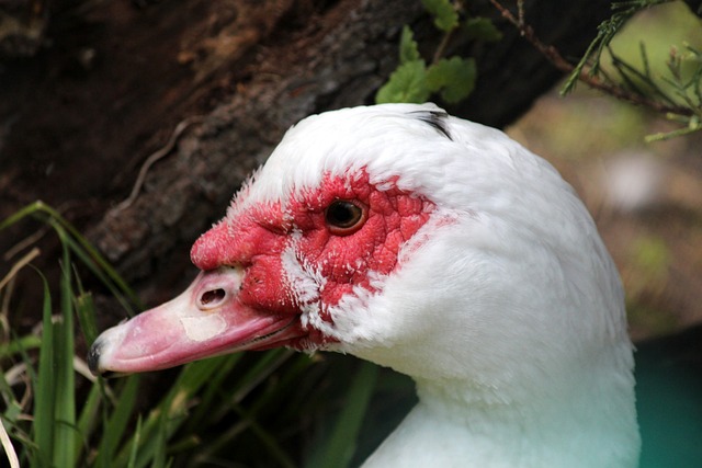 重返赛场 重返赛场