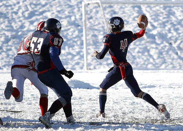 赛季提供了 赛季提供了