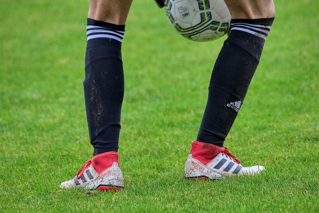 雖然都表現 雖然都表現