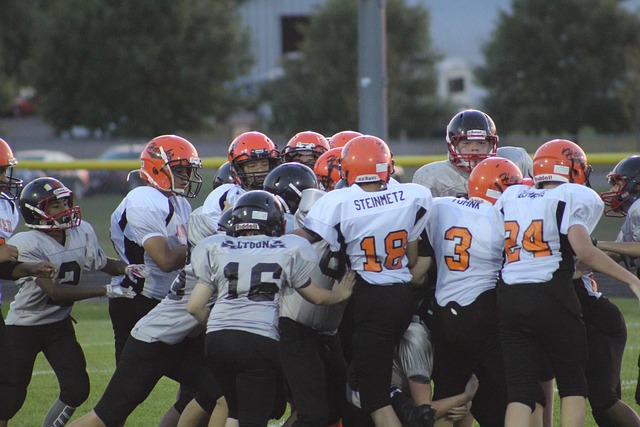 的足球盛宴 的足球盛宴