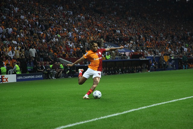 效的战术体 效的战术体